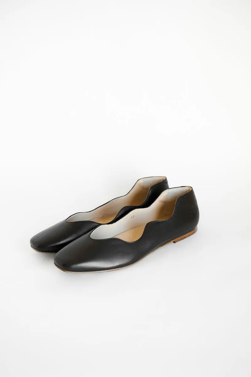 Black--Lirio2
