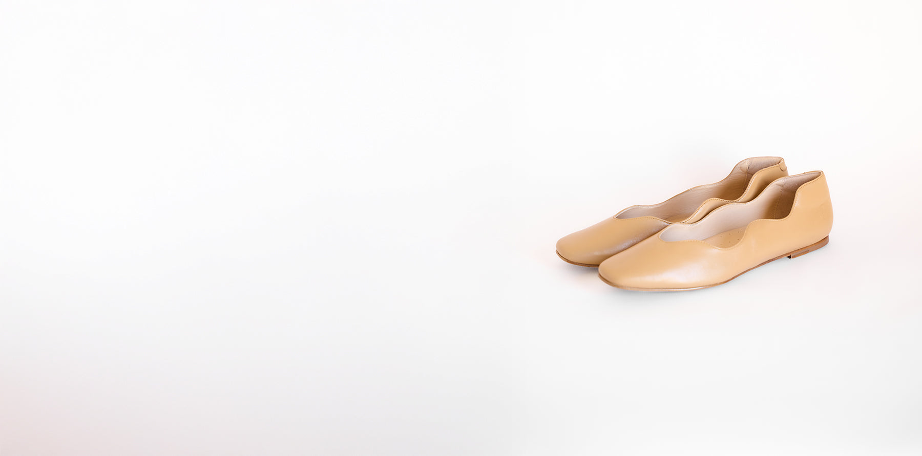 camel-flat-bg